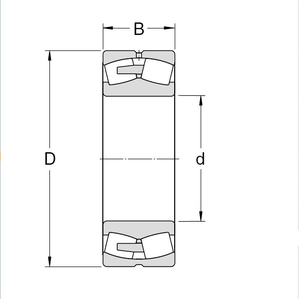 SKF 249/1320 CAF/W33