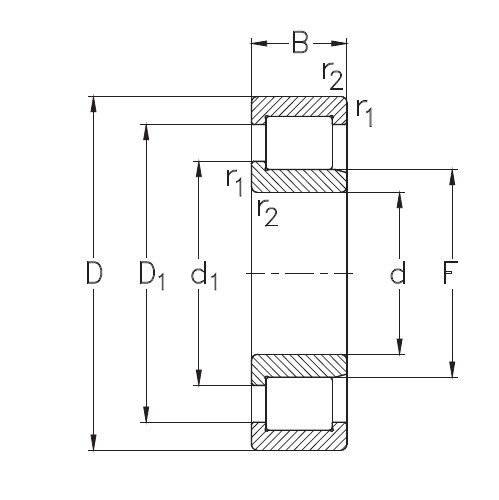 SKF NJG 2307 VH