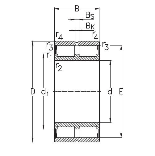 SKF NNCL 4848 CV