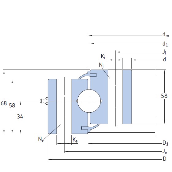 SKF RKS.060.25.1204