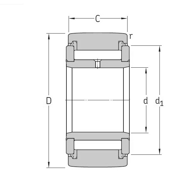 SKF NATV 50 PPA