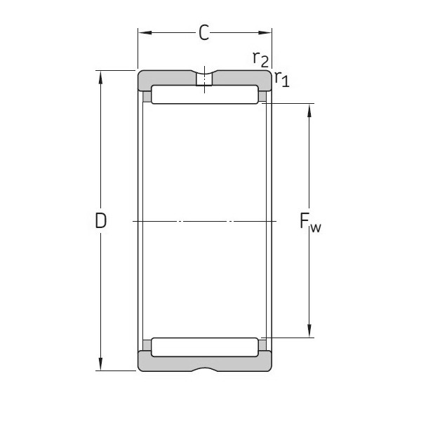 SKF RNA 4876