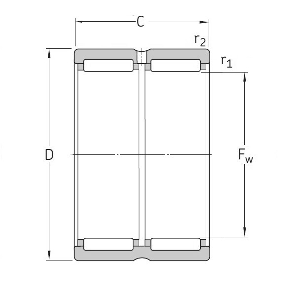 SKF RNA 6919