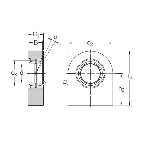 SKF SCF 25 ES