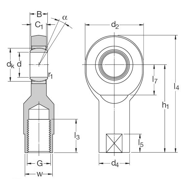 SKF SI 25 C